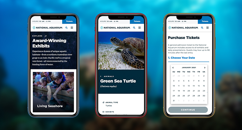 image of Alexander + Tom, Inc. Wins 2020 Best Environmental Mobile Website, Best Science Mobile Website Mobile WebAward for The National Aquarium