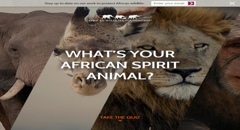 image of Sanky Communications, Inc. Wins 2016 Best Non-Profit Mobile Website Mobile WebAward for African Wildlife Foundation: What's your African spirit animal?