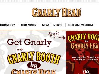 image of Asterix Group Wins 2015 Best Beverage Mobile Application Mobile WebAward for Gnarly Booth 